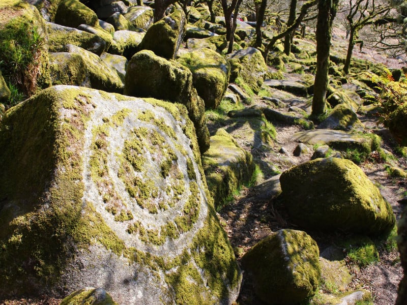 lasma-artmane-PLt5kJdzsNk-unsplash (1)