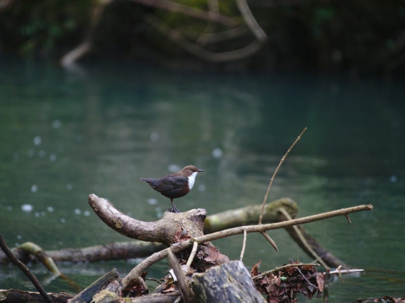 artfox-photography-3Jykr2JSpRs-unsplash-min