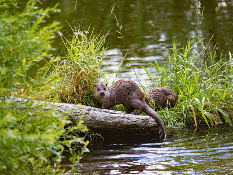 andreas-schantl-5rU-lEyav78-unsplash (1)-min