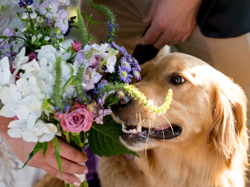 frederick-shaw-5YgsV86rux4-unsplash