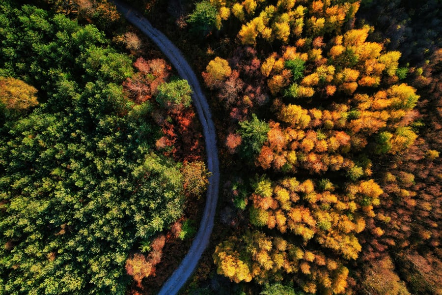 red-zeppelin-rVTwHuRXlho-unsplash
