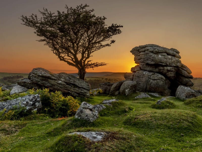 A scenic landscape at sunset features a lone tree and rugged rock formations surrounded by green grass and ferns, with rolling hills in the background under a colorful sky.