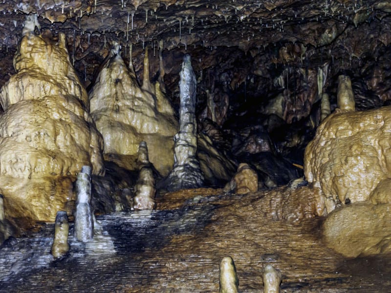 A dimly lit cave featuring stalactites hanging from the ceiling and stalagmites rising from the floor, with formations in shades of brown and beige.