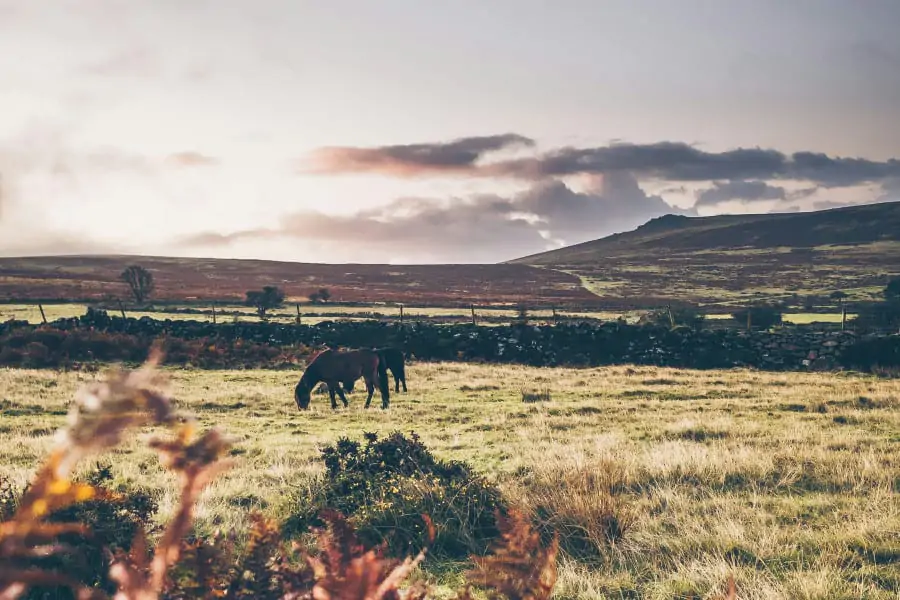 jill-dimond-MOCJPXujeRg-unsplash