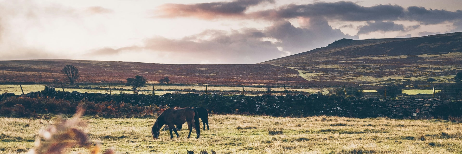 jill-dimond-MOCJPXujeRg-unsplash