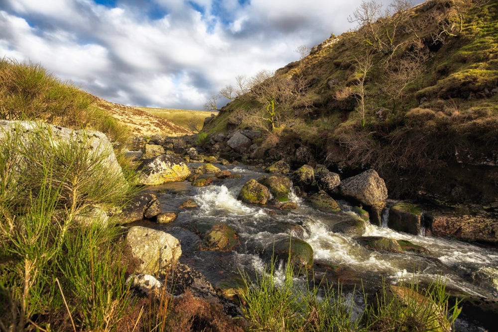 Tavy cleave