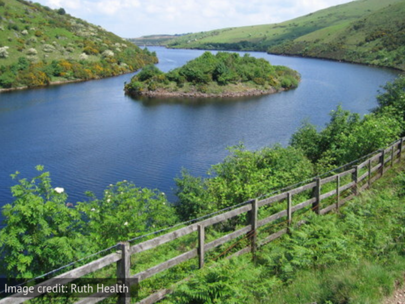 Places to stay near dartmoor